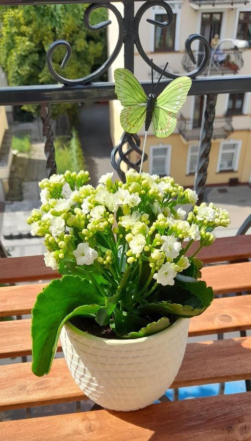 Apartament Black Sea 2 Rooms - Pokoje ชวีโนวิชแจ ภายนอก รูปภาพ